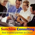 consulting service in china/ business consulting